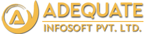 Adequateinfosoft, Software Company, Software Development Company