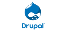 technical, adequate infosoft, Drupal
