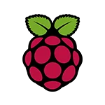 Raspberry Pi