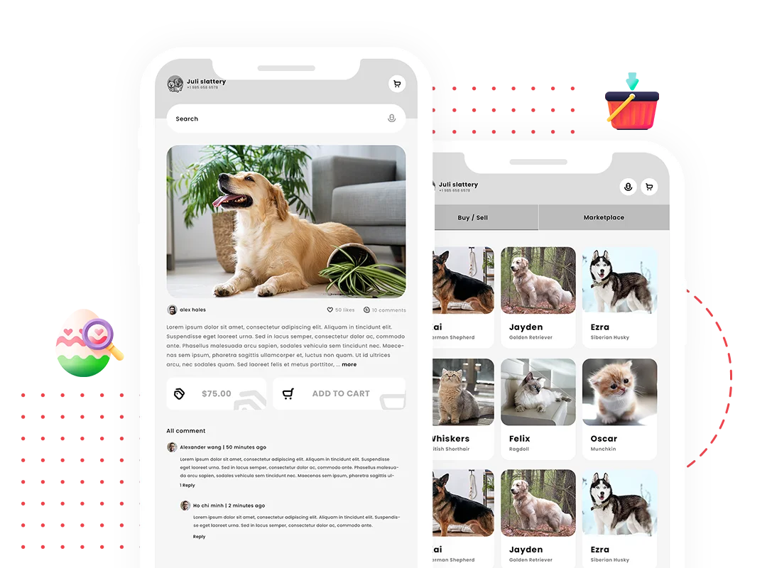 Pet's Social Media and Marketplace Development